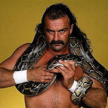 jake roberts