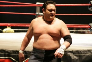 Samoa Joe