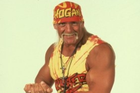 hulk hogan