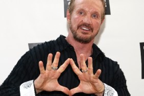 diamond dallas page