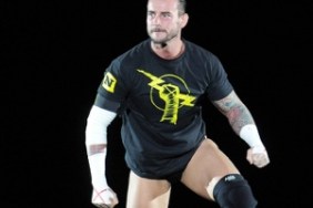 cm punk