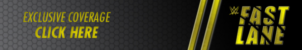 WWE Fastlane bottom article