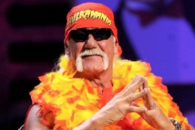 hulk hogan