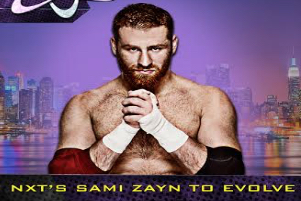 sami zayn