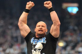 steve austin