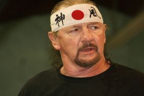 terry funk