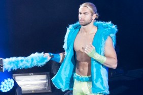 tyler breeze