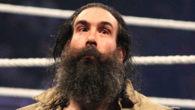 luke harper bludgeon brothers