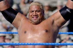 rikishi