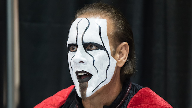 Would Sting Have Been WWE Champion? What Is The Average Size Of WWE Champions?