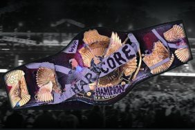 wwe-wwf-hardcore-title