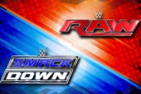 wwe-brand-split-social-raw-smackdown