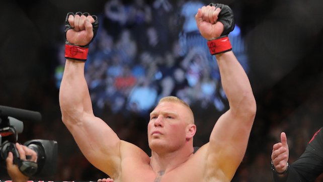 brock lesnar ufc