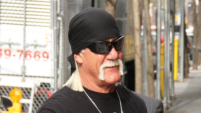 hulk hogan