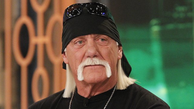 best hulk hogan movies