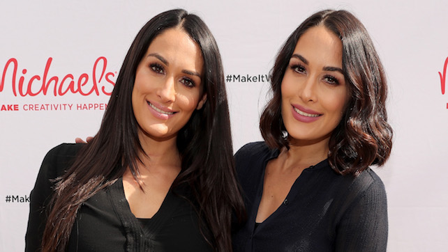 The bella twins