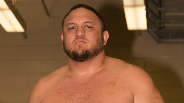 samoa joe