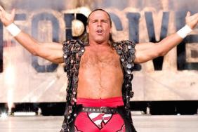 shawn michaels