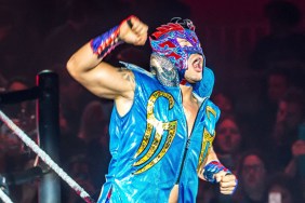 kalisto