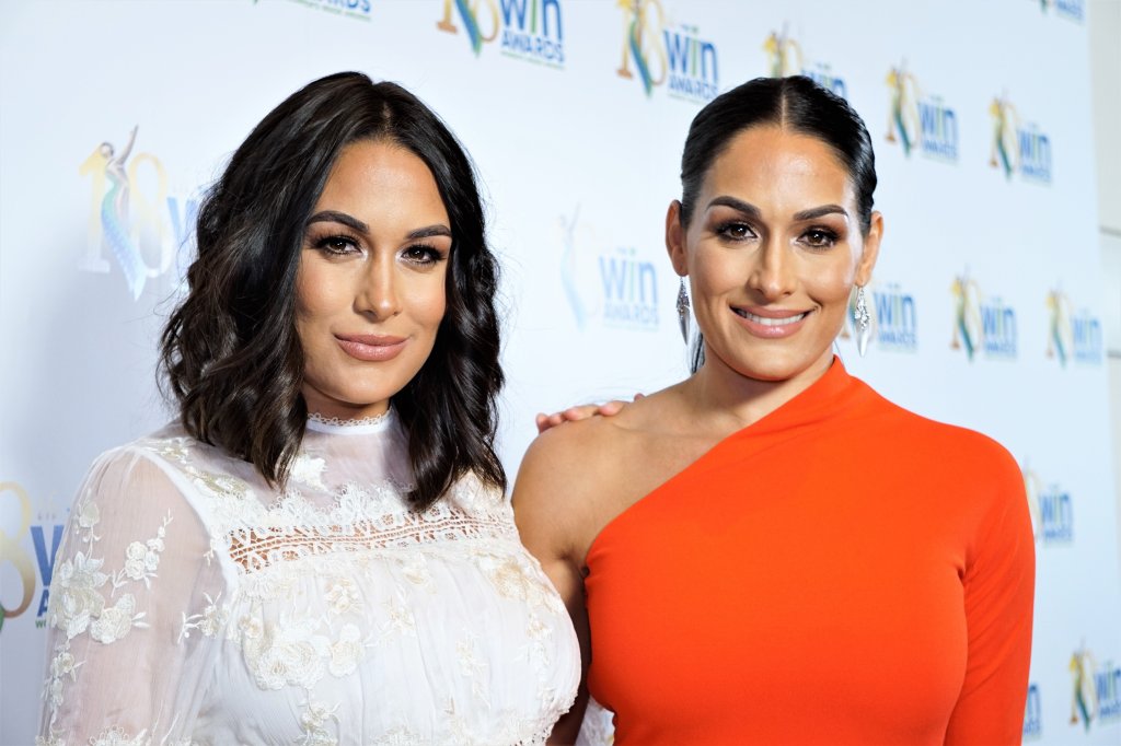 nikki bella brie bella the bella twins