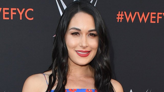 Brie Bella Nails Daniel Bryan’s Entrance, Faby Apache Calls Out Tessa Blanchard (Video)