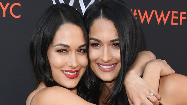 The Bella Twins