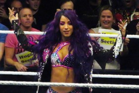 Sasha Banks At WWE Evolution