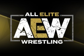 All Elite Wrestling