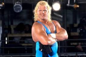 mr perfect curt hennig