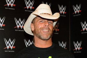 shawn michaels