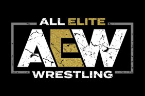 all elite wrestling