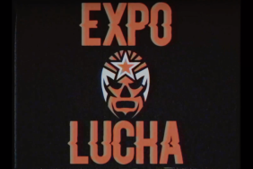 expo lucha 2020