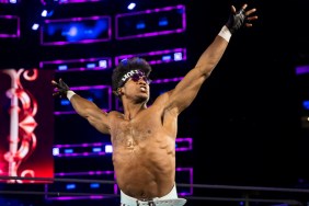 velveteen dream