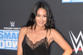 brie bella