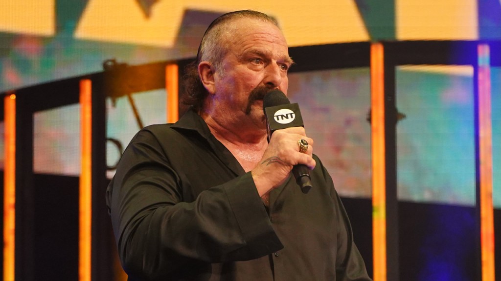 jake roberts