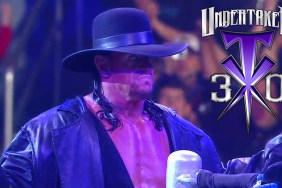 the undertaker