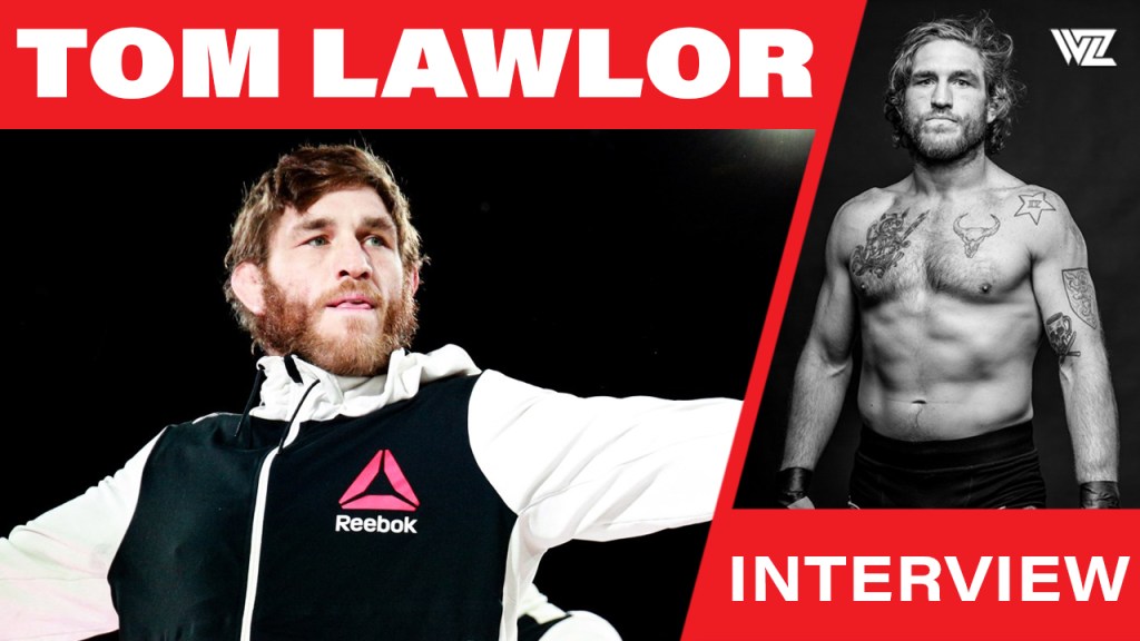 tom lawlor