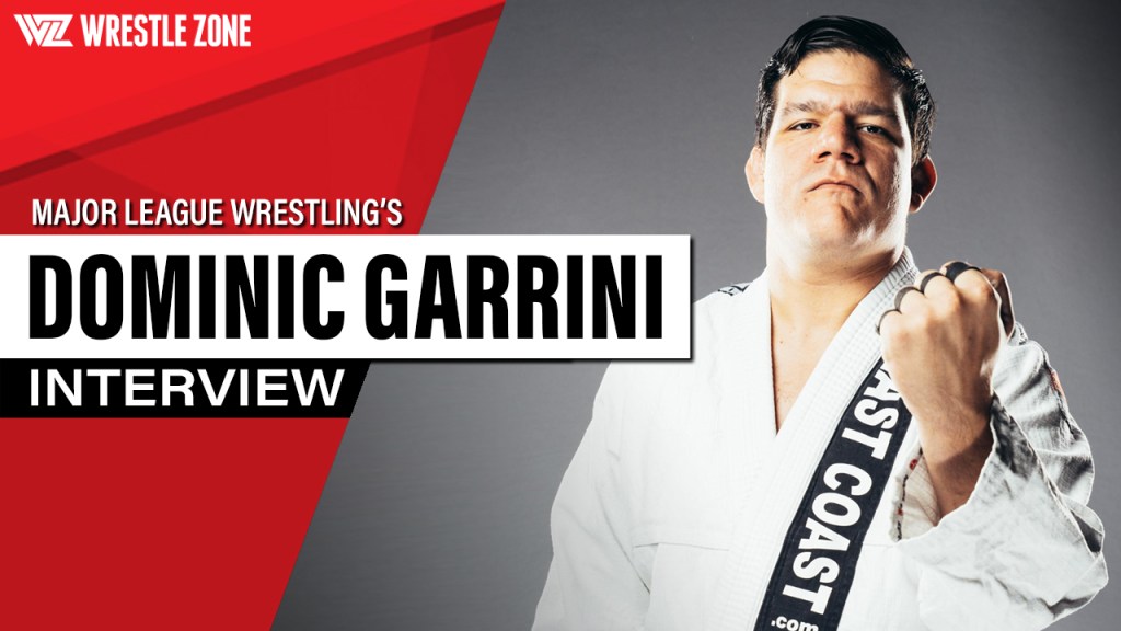 dominic garrini interview