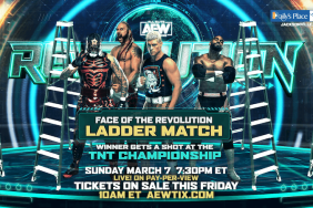 Face of the Ladder Match