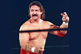 manny fernandez