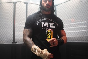 Reigns WWE C4