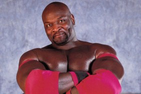 ahmed johnson wwe 1 copy