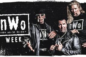 WWE nWo week