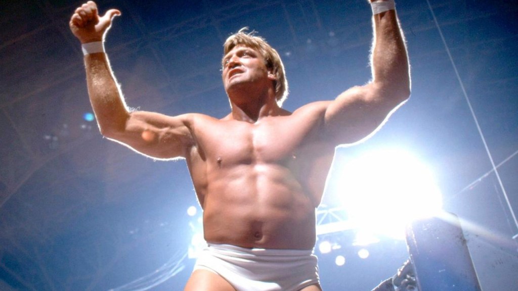 paul orndorff