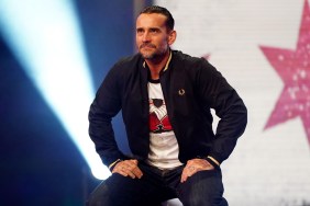 cm punk aew 11