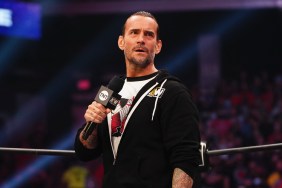 cm punk