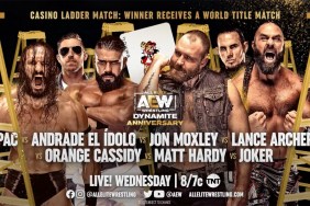 AEW Dynamite Casino Ladder Match