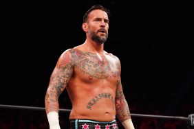 cm punk