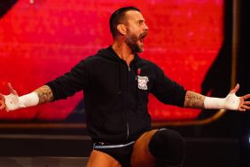 cm punk