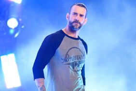 cm punk